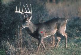 DONT MAKE THIS MISTAKE WHEN BOWHUNTING