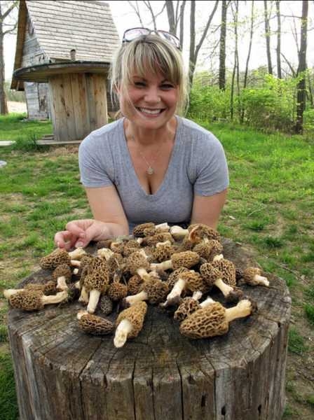 Morel Mushroom Hunting Tips