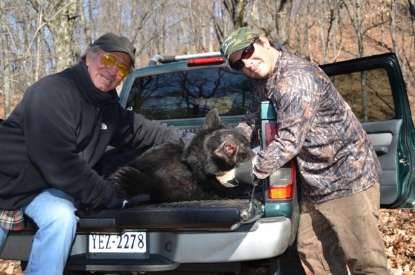 My first Black Bear