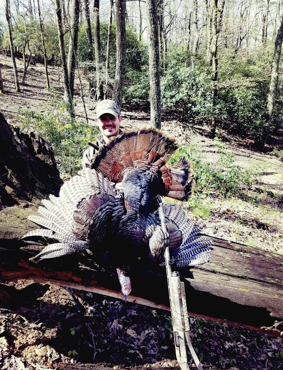 Virginia Spring Gobbler Pictures 2017