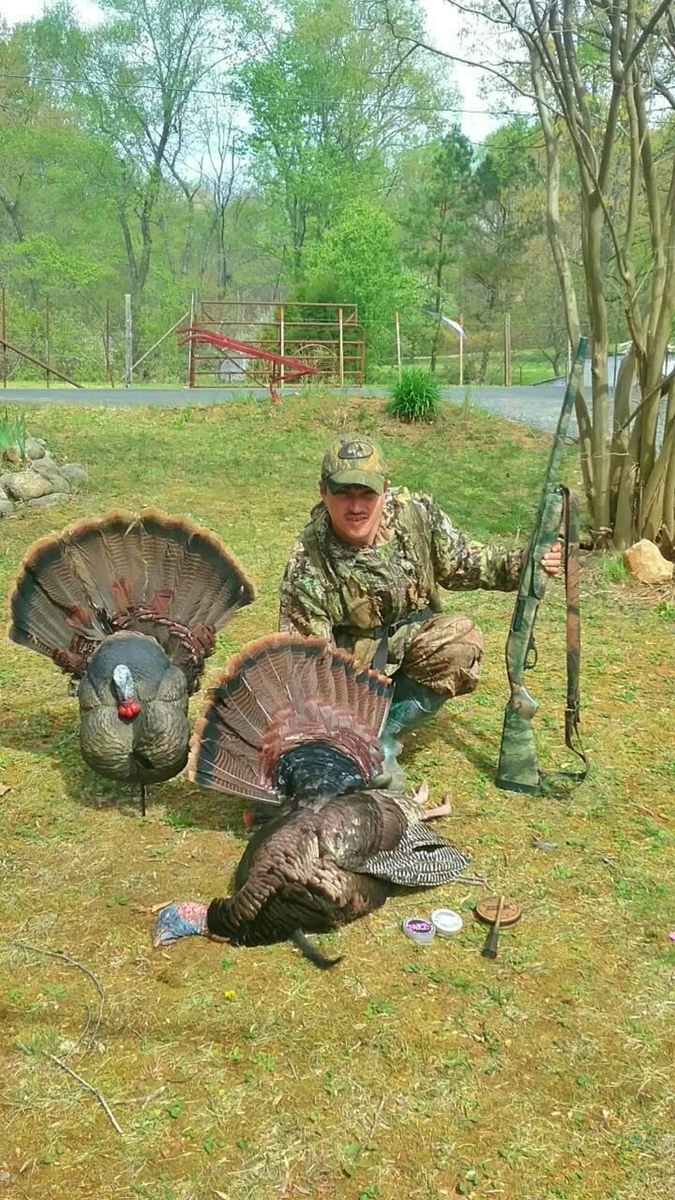 Virginia Spring Gobbler Pictures 2017