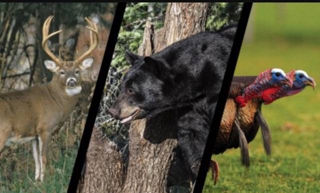 2016-2017 DEER, BEAR & TURKEY HARVEST RESULTS