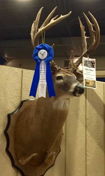 THE STATE OF VIRGINIA'S FIRST PLACE BUCK FOR 2014-2015