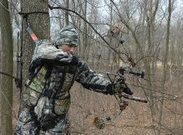 TREESTAND SAFETY