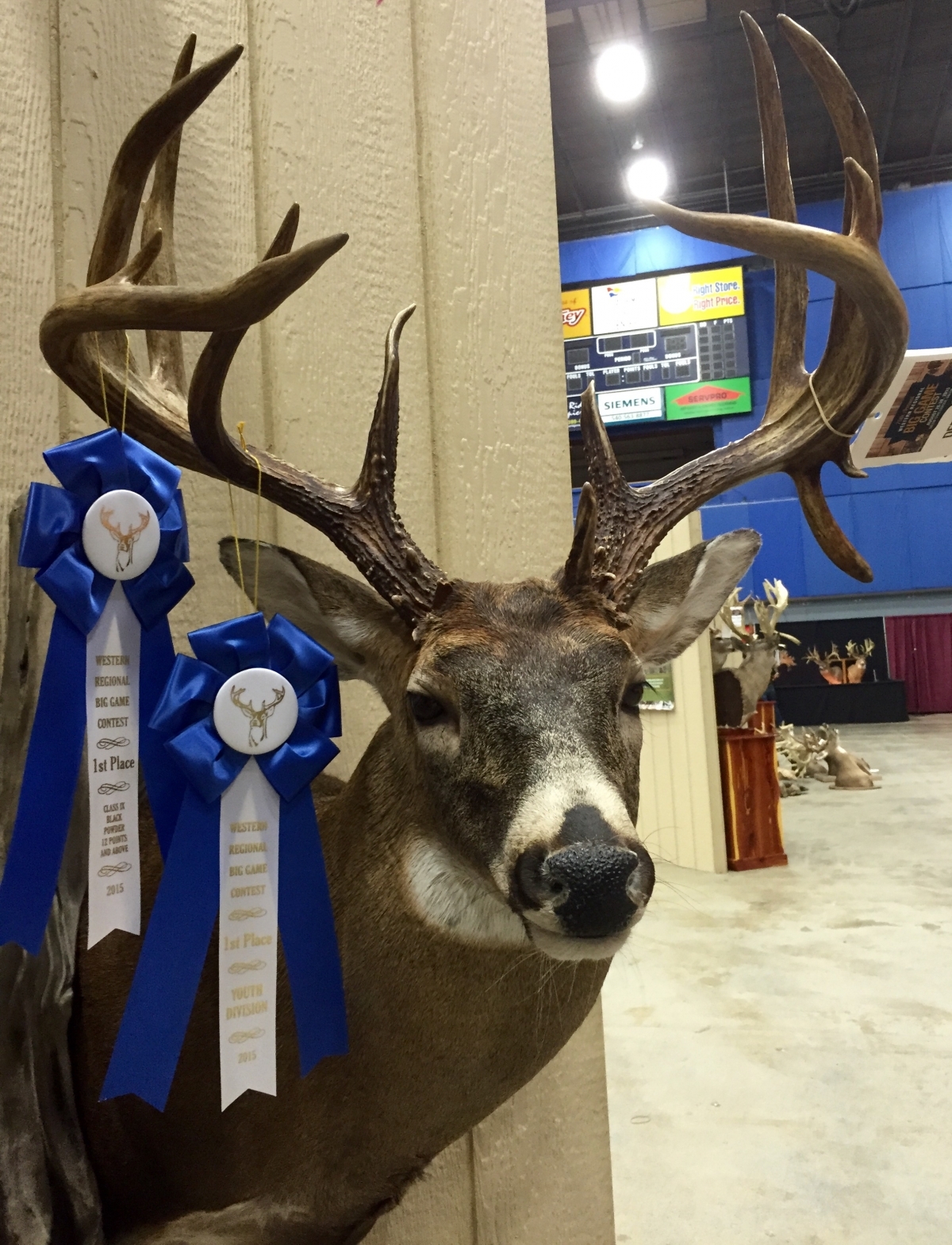 2015 VIRGINIA DEER HARVEST GALLERY