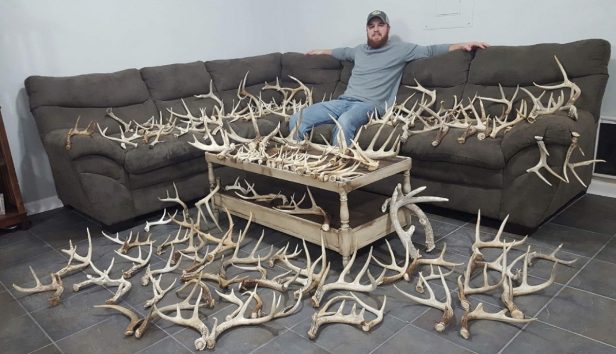 When Do Deer Shed Their Antlers in Virginia