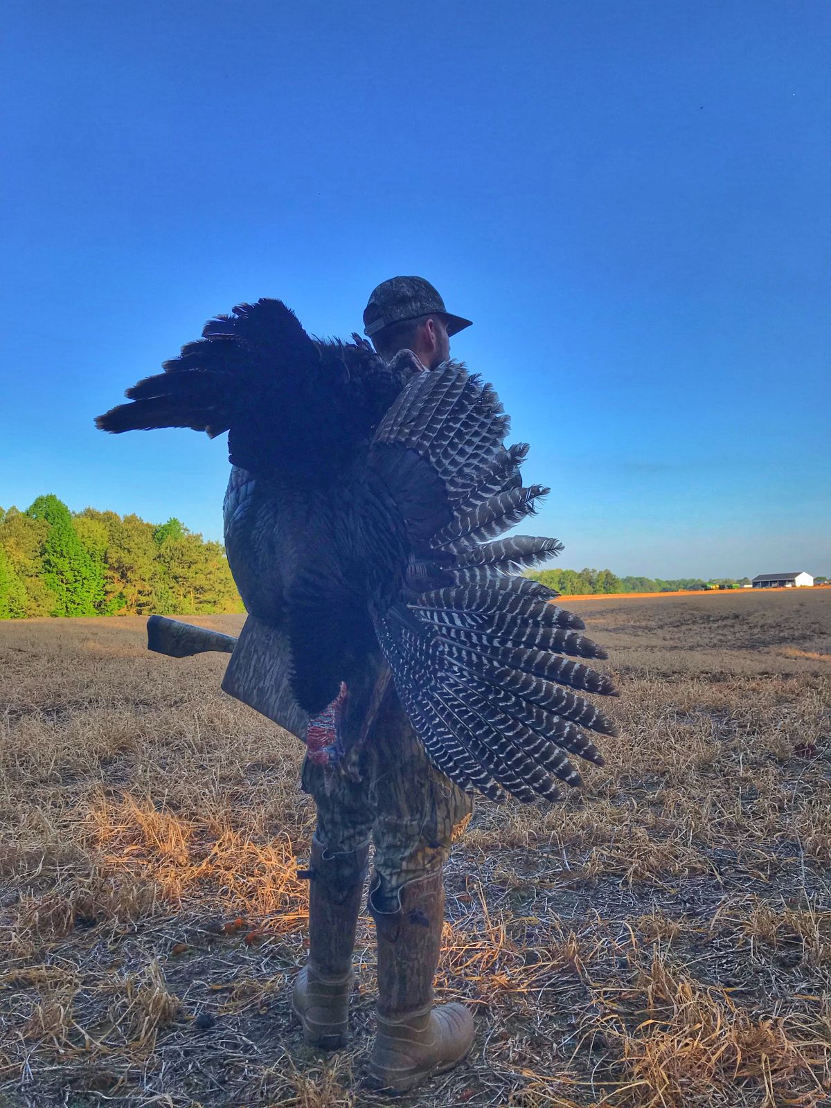 VIRGINIA 2019 SPRING GOBBLER KILL STATS